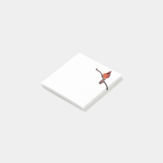 Opmerking plaatsen Kardinaal Post-it® Notes (Schuin)