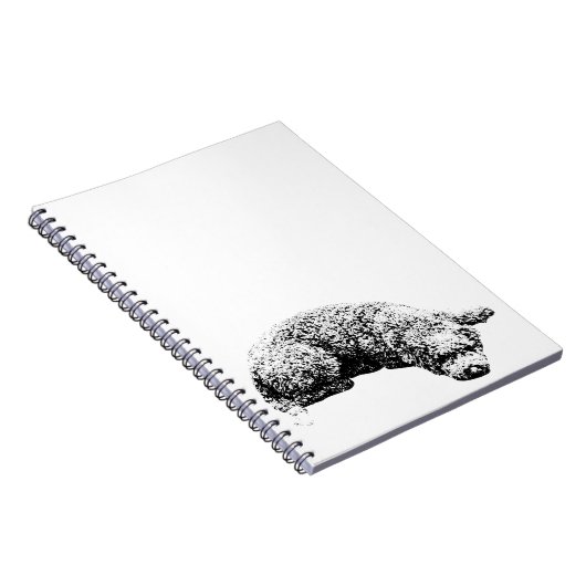 Opmerkingen bij het venster notitieboek (Rechterzijde)