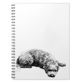 Opmerkingen bij het venster notitieboek (Voorkant)