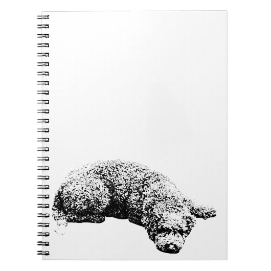 Opmerkingen bij het venster notitieboek (Voorkant)