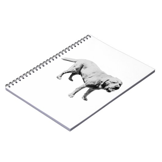 Opmerkingen over het spel notitieboek (Linkerzijde)