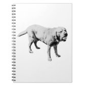 Opmerkingen over het spel notitieboek (Voorkant)