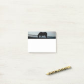 Opmerkingen over IJslandse paarden na het IJslands Post-it® Notes (Op bureau)