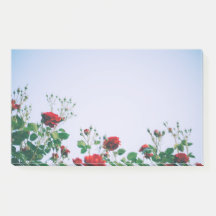 Opmerkingen plaatsen