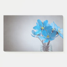 Opmerkingen plaatsen