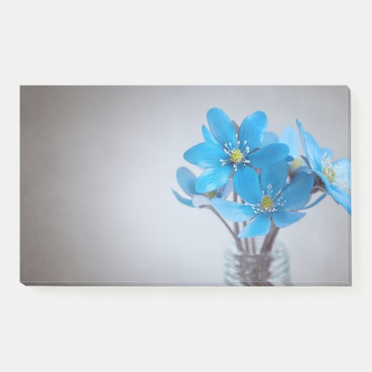 Opmerkingen plaatsen post-it® notes (Voorkant)