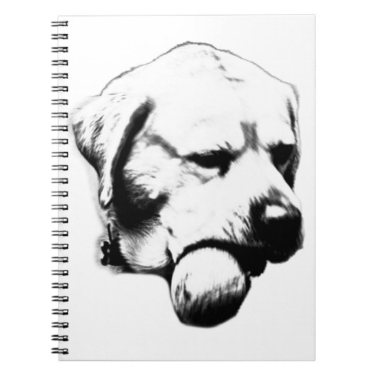 Opmerkingen tussen de worpen notitieboek (Voorkant)