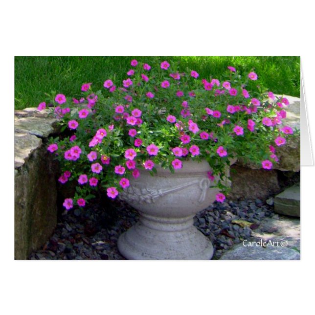 Opmerkingen van de roze bloemplanter (Voorkant Horizontaal)