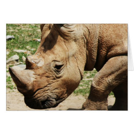 OPMERKINGEN VOOR DIERFOTO'S