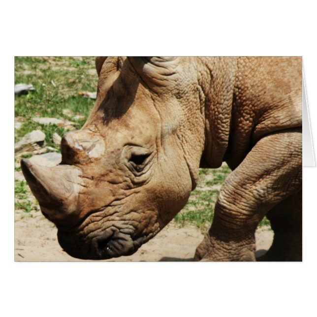 OPMERKINGEN VOOR DIERFOTO'S (Voorkant Horizontaal)