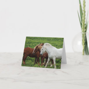 Opmerkingskaart Feestdagen Kaart