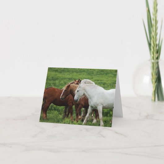 Opmerkingskaart Feestdagen Kaart (Voorkant)