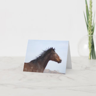 Opmerkingskaart Kaart