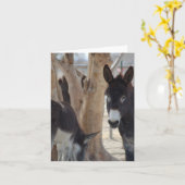 Opmerkingskaart Kaart (Gele Bloem)