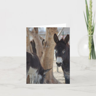 Opmerkingskaart Kaart