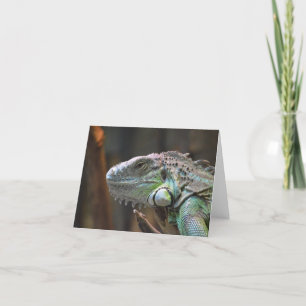 Opmerkingskaart met hoofd van de kleurrijke Iguana Kaart