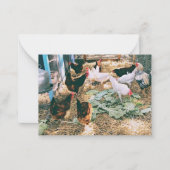 Opmerkingskaarten Notitiekaartje (Voorkant)