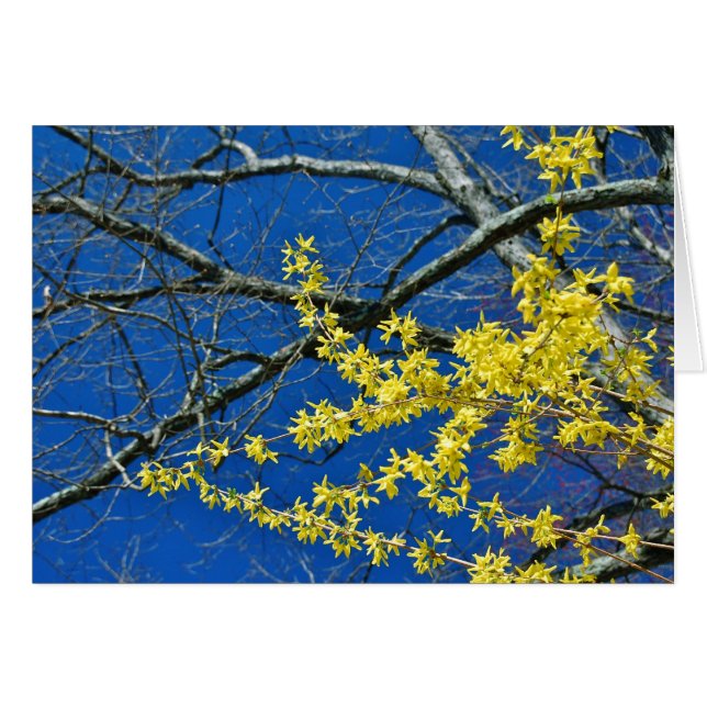 Opnieuw (Voorkant Horizontaal)