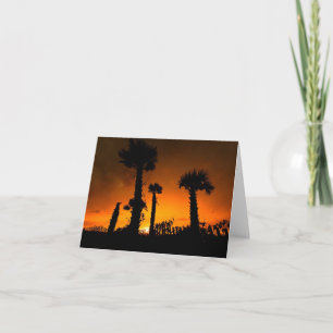 Opnieuw bezochte Palmettos Kaart
