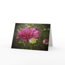 Opnieuw het beginnen van met Wenskaart