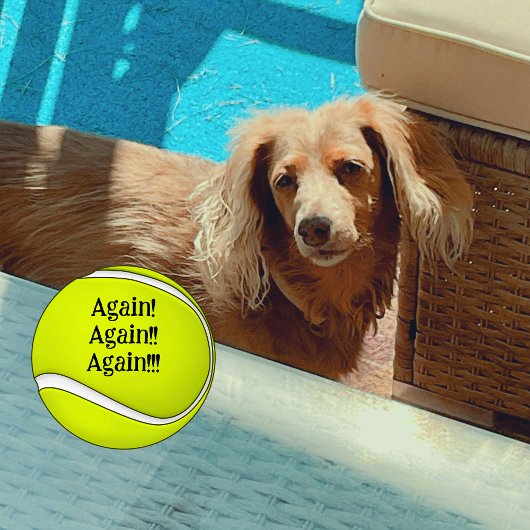 Opnieuw hond mam grappig tennisballen