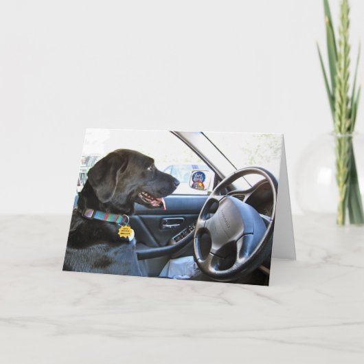 Opnieuw op pad kaart (Voorkant)