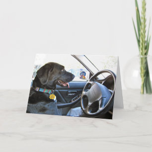 Opnieuw op weg kaart