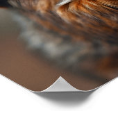 Opnieuw snacken - Squirrel Ai afbeelding Poster (Hoek)