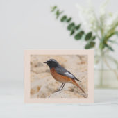 Opnieuw starten briefkaart (Staand voorkant)