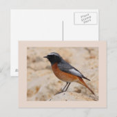 Opnieuw starten briefkaart (Voorkant / Achterkant)