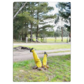 Opnieuw verdwaald in de tuin klembord (Achterkant)