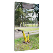 Opnieuw verdwaald in de tuin klembord (Rechts)