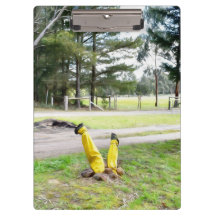 Opnieuw verdwaald in de tuin