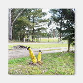 Opnieuw verdwaald in de tuin magneet (Voorkant)