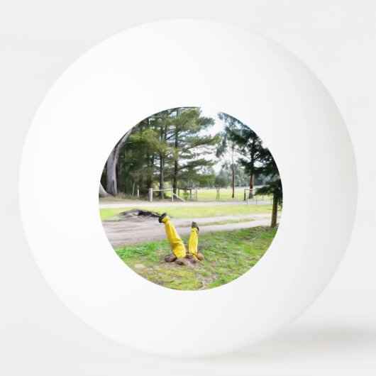 Opnieuw verdwaald in de tuin pingpongbal (Voorkant)
