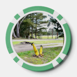 Opnieuw verdwaald in de tuin poker chips