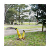 Opnieuw verdwaald in de tuin tegeltje (Voorkant)