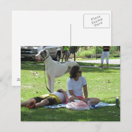 Opnieuw verzachten met groot gesteente Briefkaart (Voorkant / Achterkant)