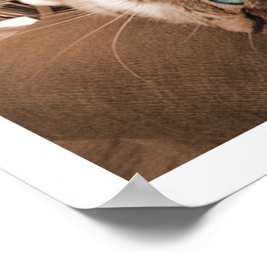 Opnieuw voorstellen in testfase poster (Hoek)