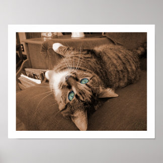 Opnieuw voorstellen in testfase poster