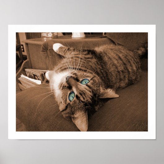 Opnieuw voorstellen in testfase poster (Voorkant)