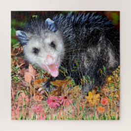 Opossum Animal Legpuzzel
