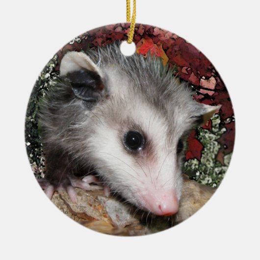 Opossum Baby Keramisch Ornament (Voorkant)