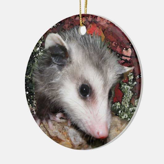 Opossum Baby Keramisch Ornament (Links)