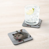 Opossum Bier Onderzetter (Rechterzijde)