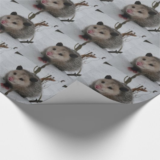Opossum Cadeaupapier (Hoek)