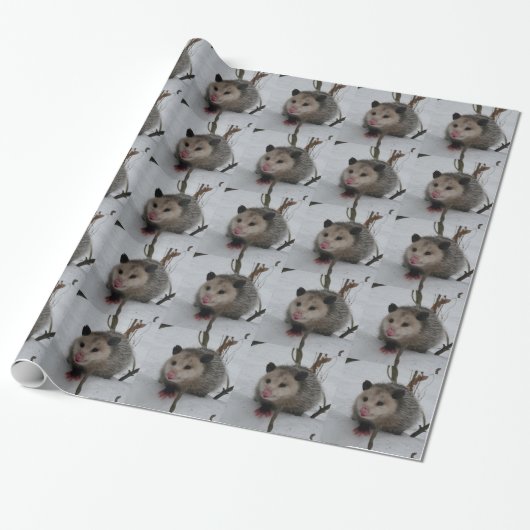 Opossum Cadeaupapier (Uitgerold)