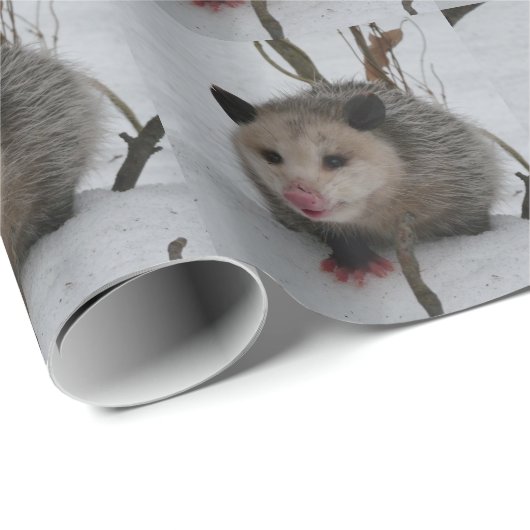 Opossum Cadeaupapier (Rol Hoek)