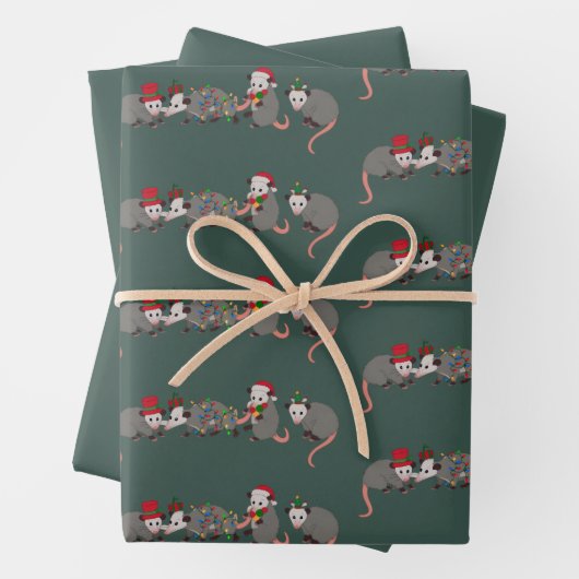 Opossum Christmas Cute Wild Animals Funny Xmas Inpakpapier Vel (In situ)