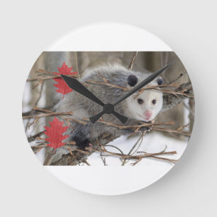 Opossum Clock Ronde Klok